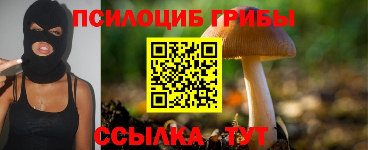 купить наркотики сайты  Псилоцибиновые грибы GOLDEN TEACHER  Вход с VPN  Нягань  Псилоцибиновые грибы GOLDEN TEACHER 